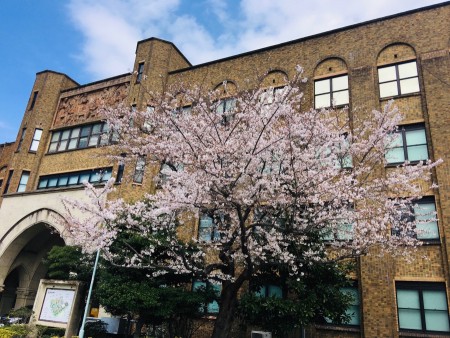 114 Medical school attached hospital